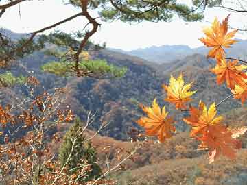 自驾游韶山（自驾游去韶山）